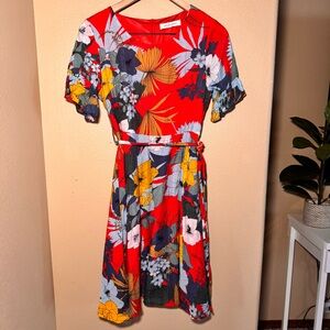 Panda Grove Floral Flutter Sleeve Belted Lined Knee length Dress size small